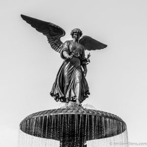 Bethesda Fountain Angel, Central Park, New York 1 (BW SQ)