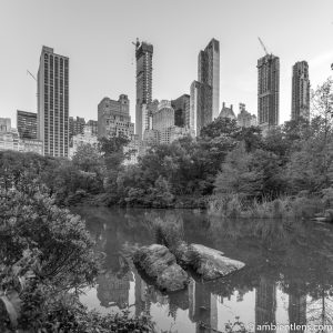 The Pond in Central Park, Manhattan, New York 1 (BW SQ)