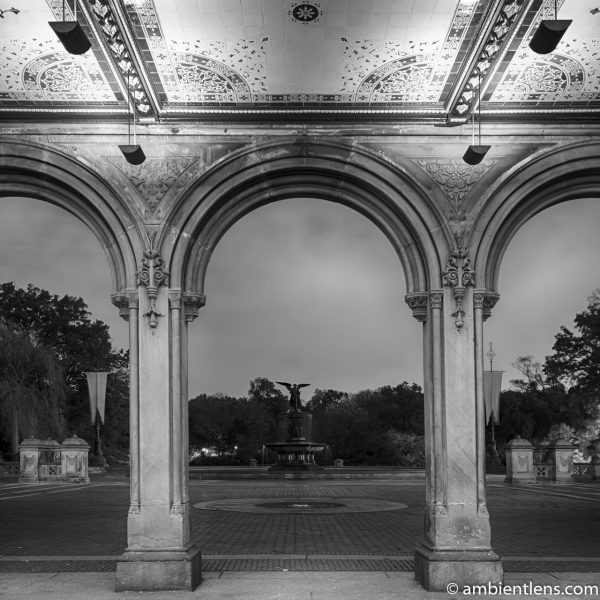 Looking Out Central Park's Bethesda Terrace (BW SQ)