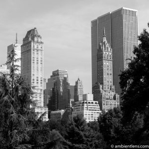 View of Buildings from South Central Park, New York 1 (BW SQ)