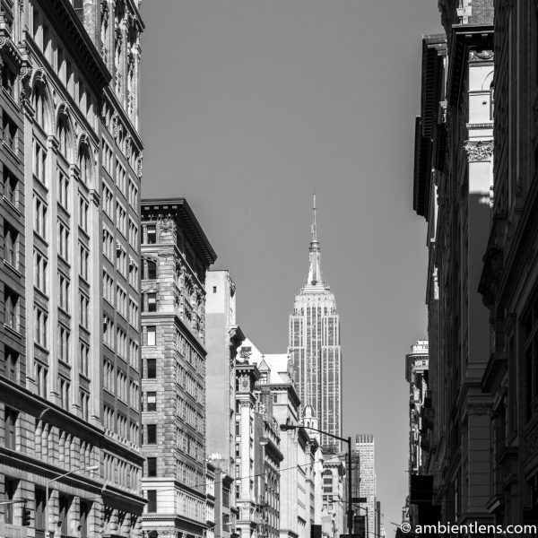 New York City Buildings 5 (BW SQ)