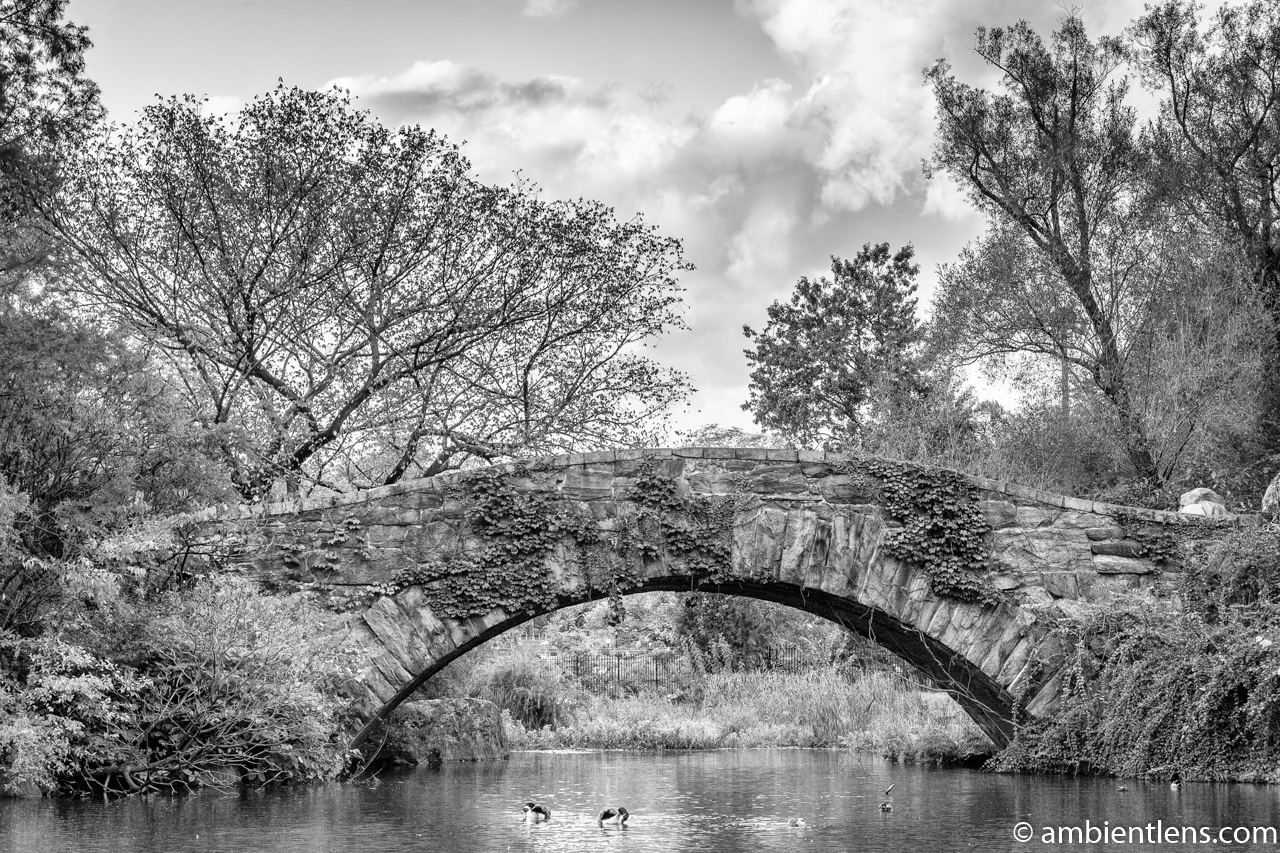 Gapstow Bridge and The Pond 2 (BW) Ambient Lens