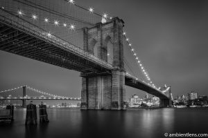 Brooklyn Bridge in Blue Light 1 (BW)