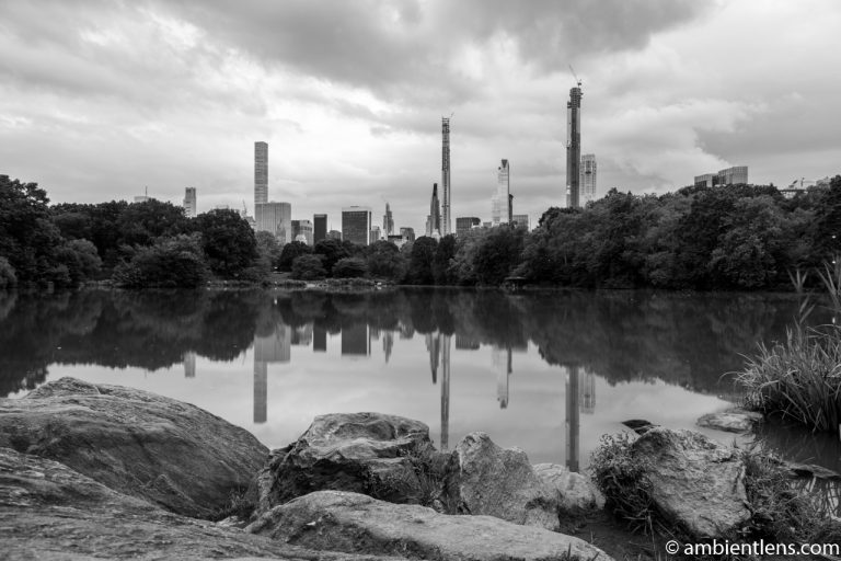 Reflection on The Lake at Central Park 8 (BW)