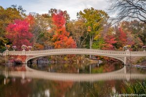 Bow Bridge in the Fall 3