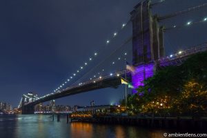 Brooklyn Bridge in Blue Light 6