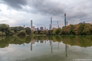 Reflection on The Lake at Central Park 7