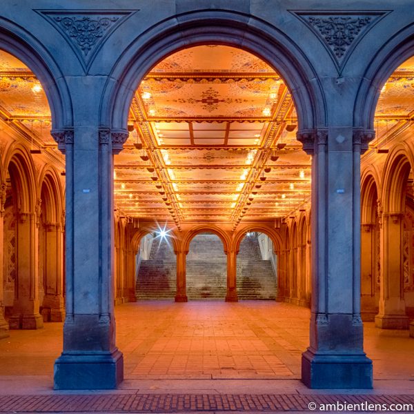 The Interior of Central Park's Bethesda Terrace 1 (SQ)
