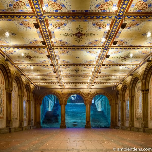 The Interior of Central Park's Bethesda Terrace 2 (SQ)