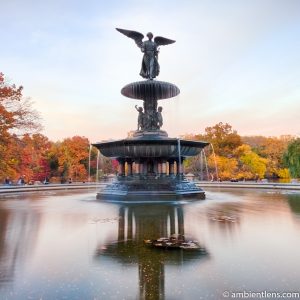 Bethesda Fountain Golden Autumn 1 (SQ)