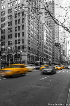 Yellow Cabs on Fifth Avenue, New York 1