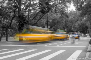 Yellow Cabs in Central Park, New York 2