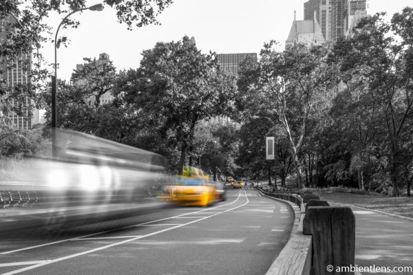 Yellow Cabs in Central Park, New York 3