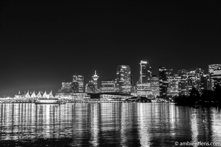 Downtown Vancouver at Night 3 (BW)