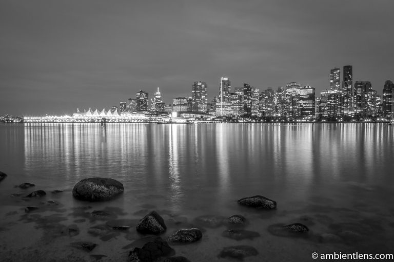 Downtown Vancouver at Night 1 (BW)