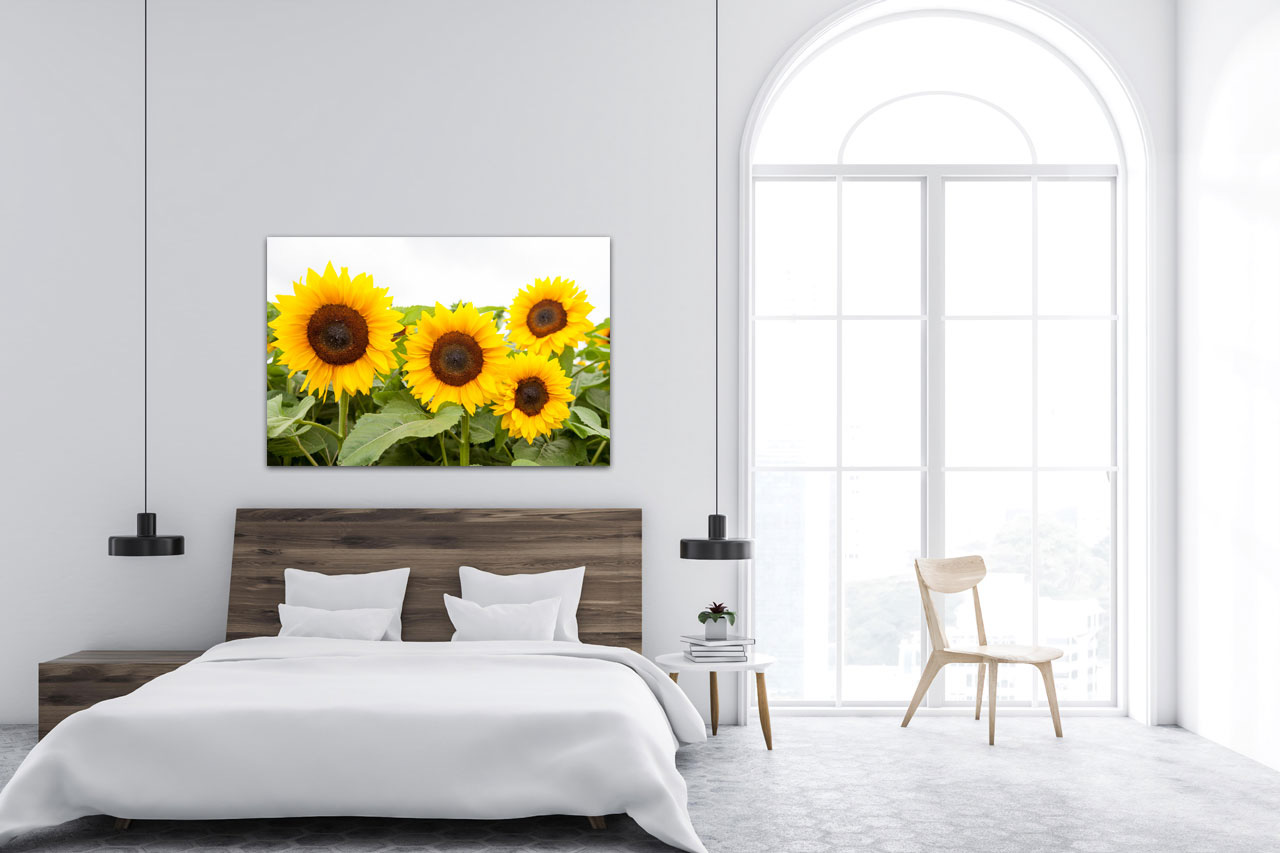 Sample Photo in the Bedroom Sample Photo in the Bedroom