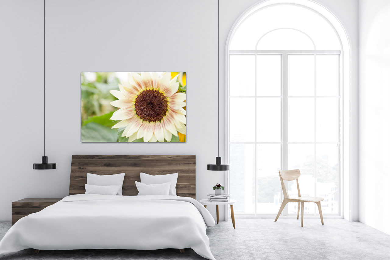 Sample Photo in the Bedroom Sample Photo in the Bedroom