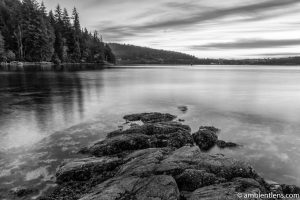 The Beach at Belcarra Regional Park, Anmore, BC 2 (BW)