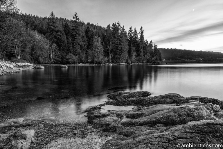 The Beach at Belcarra Regional Park, Anmore, BC 1 (BW)