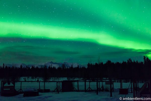 Aurora Borealis over Yukon 2