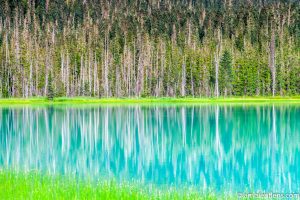 Joffre Lakes Reflection