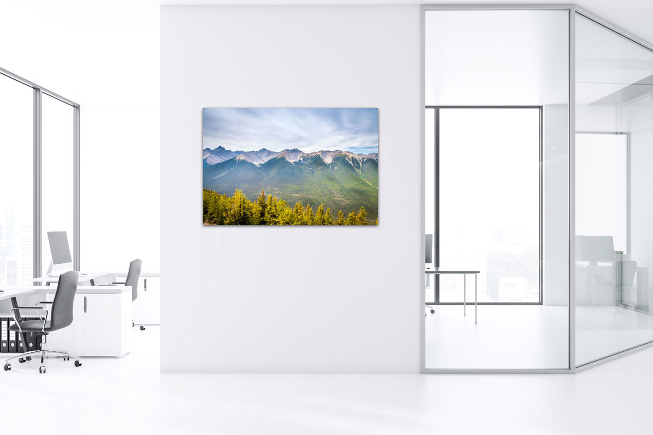 Sample Photo in the Office Sample Photo in the Office