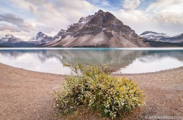 Bow Lake, Jasper, Alberta 2