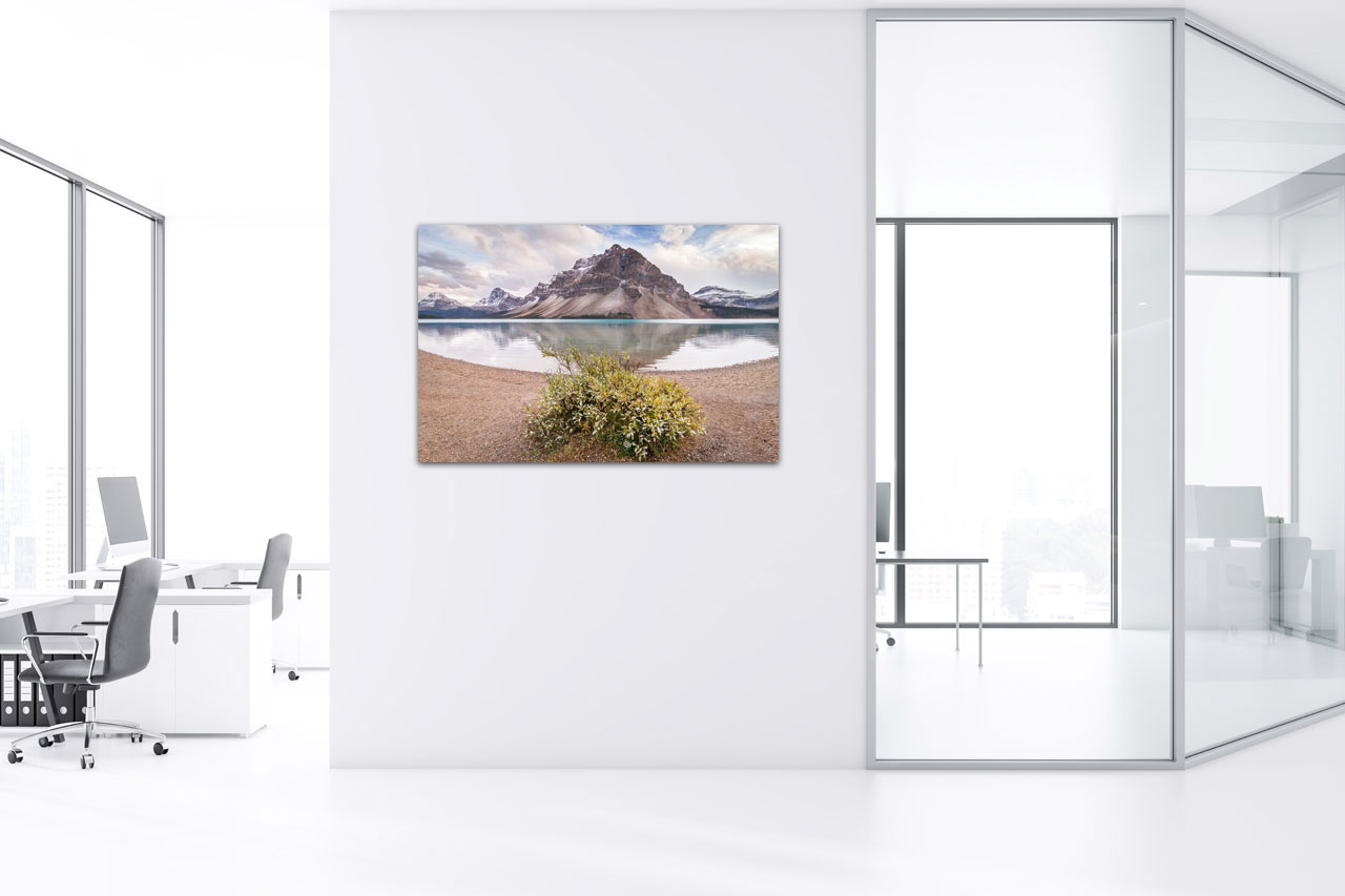 Sample Photo in the Office Sample Photo in the Office