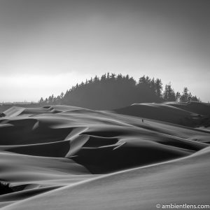 Crossing the Sand Dunes 2 (BW SQ)
