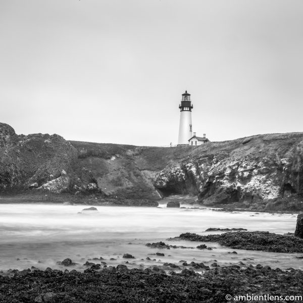 Yaquina Head Lighthouse 1 (BW SQ)