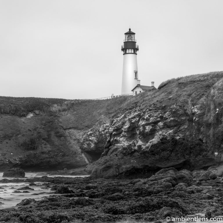 Yaquina Head Lighthouse 2 (BW SQ)