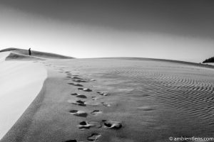 Crossing the Sand Dunes 1 (BW)
