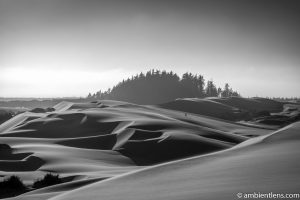Crossing the Sand Dunes 2 (BW)