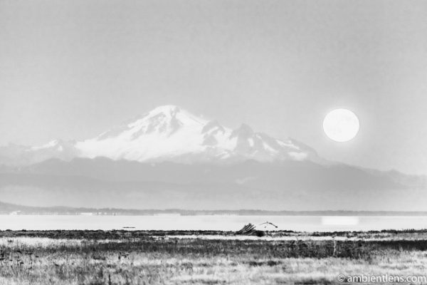 Mount Baker Moonrise 3 (BW)