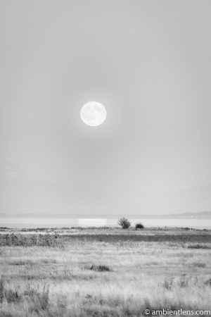 Moonrise Reflection 1 (BW)
