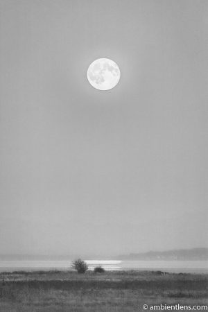 Moonrise Reflection 2 (BW)