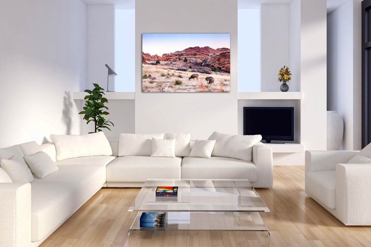 Sample Photo in the Living Room Sample Photo in the Living Room