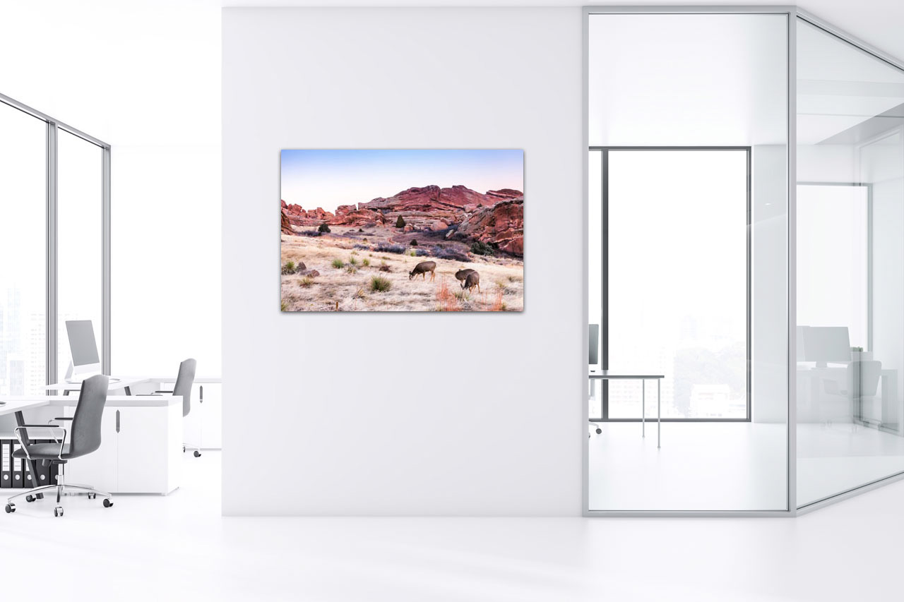 Sample Photo in the Office Sample Photo in the Office