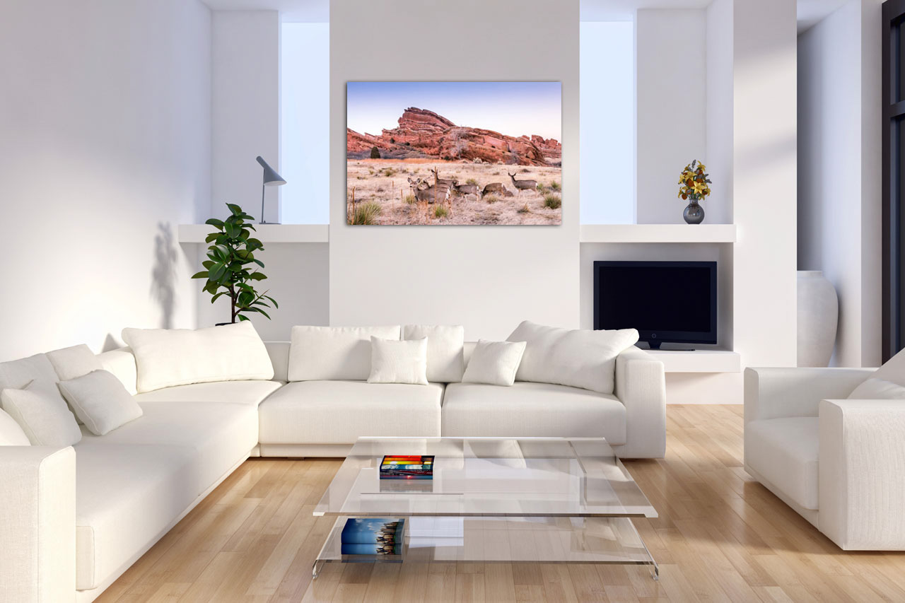 Sample Photo in the Living Room Sample Photo in the Living Room