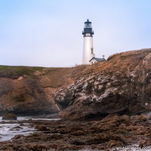 Yaquina Head Lighthouse 2 (SQ)